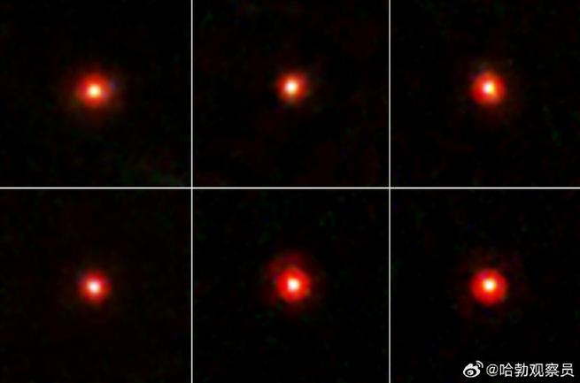 大腿上有小红点图片
