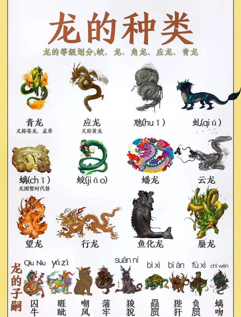 龙腾十二月人物简历截图