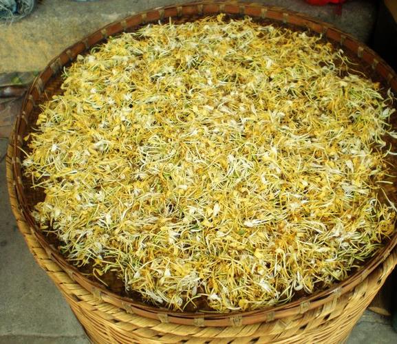 金银花怎么晒干的做法截图