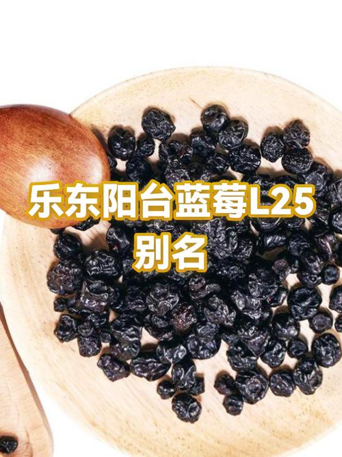 关于蓝莓的网名女生