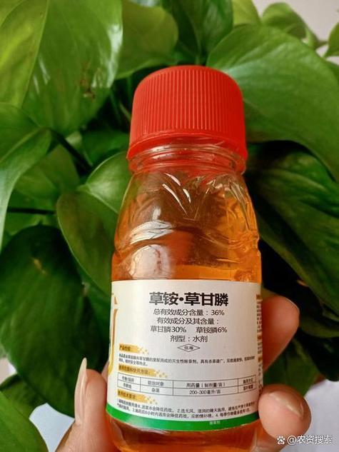 浇什么能杀死树木