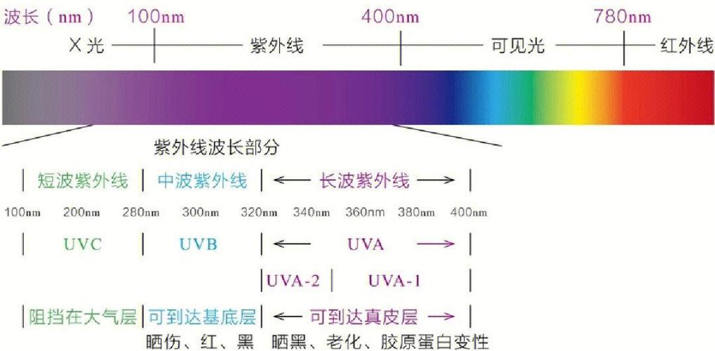 紫外线的波长范围是多少