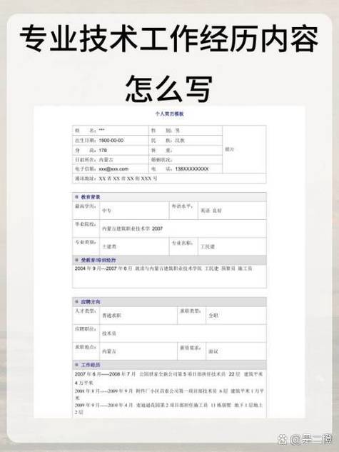我的工作经历13