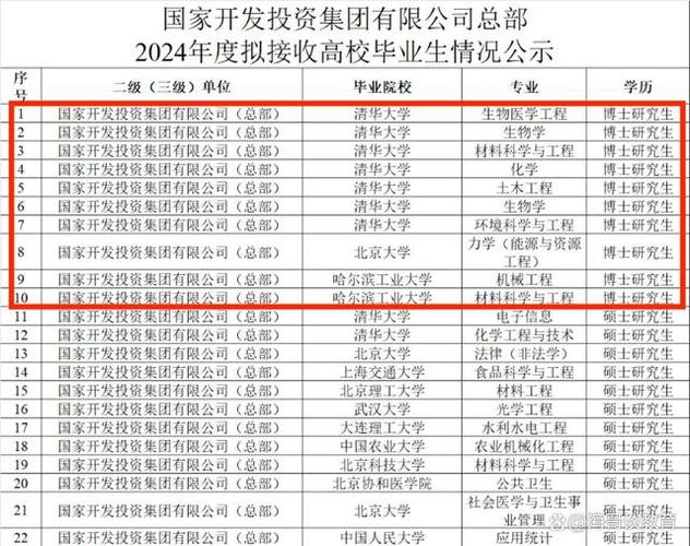 国投中层名单一览表截图