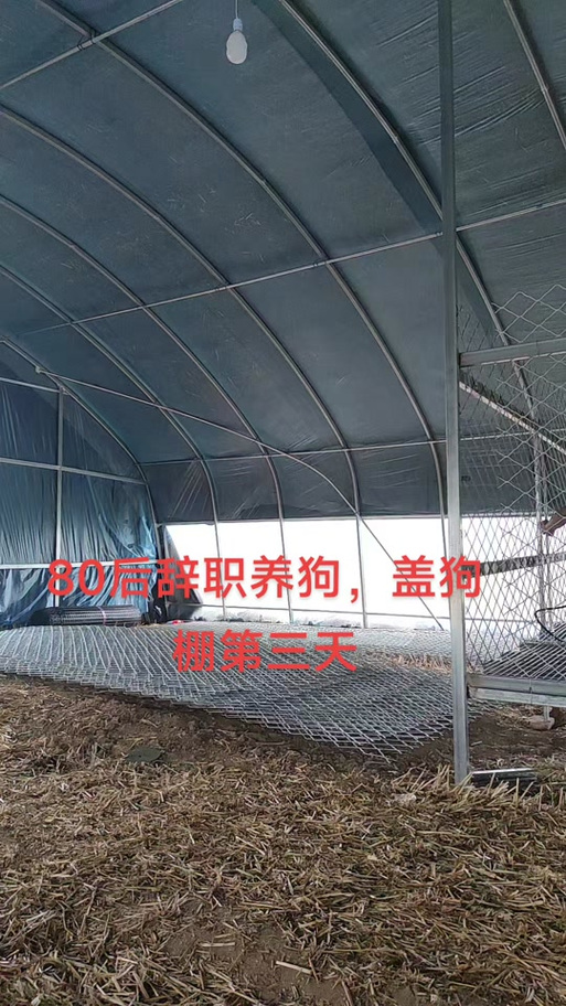 养狗大棚截图