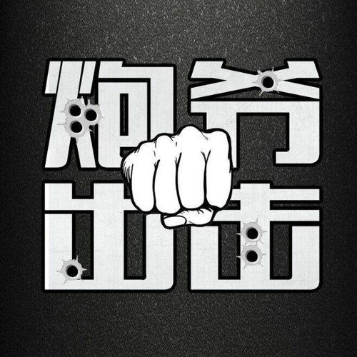和炮爷出击相似的