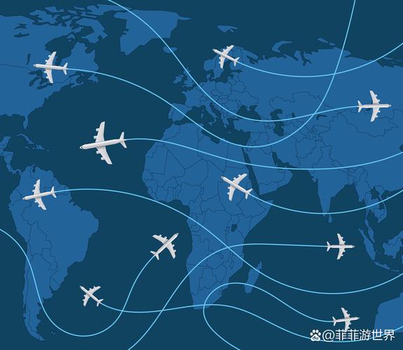 疯狂运输无法找到停止的路径