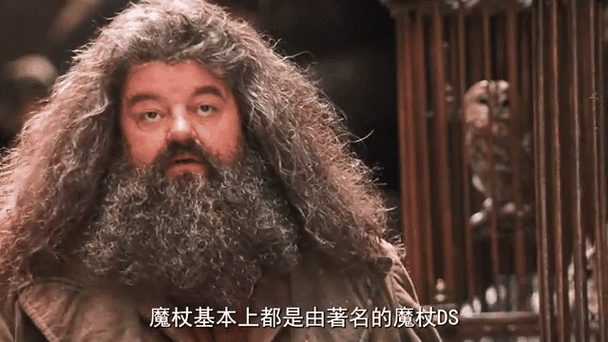 哈利波特之巫师权柄