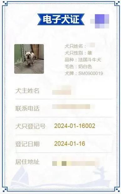养犬分红缩略图