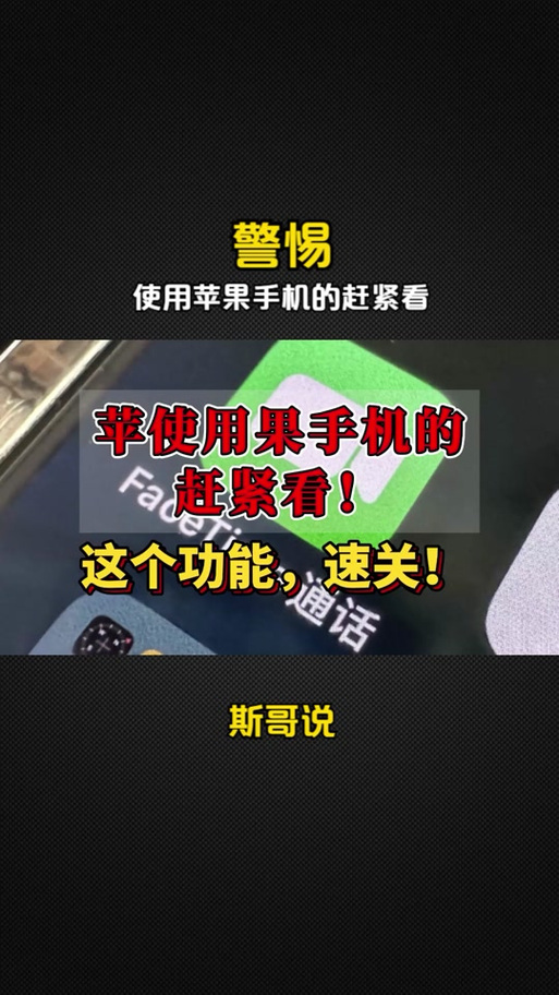 苹果FaceTime 在哪关截图
