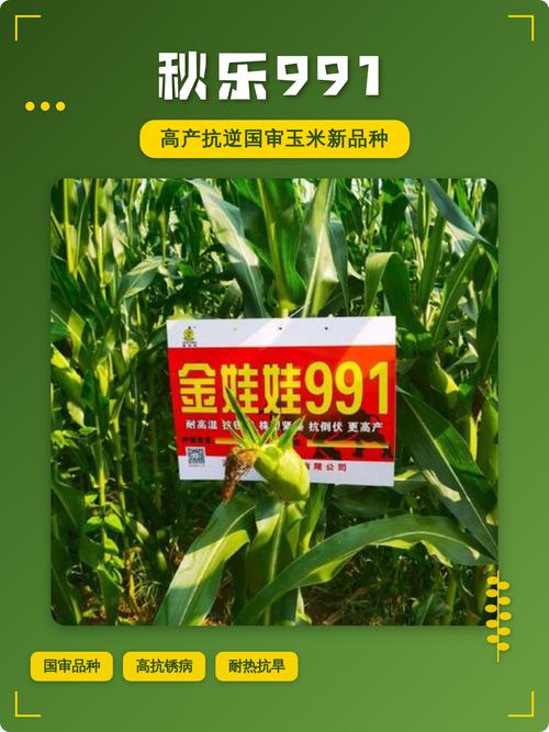十九秋是正规的吗
