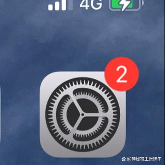 ipad游戏麦克风权限截图