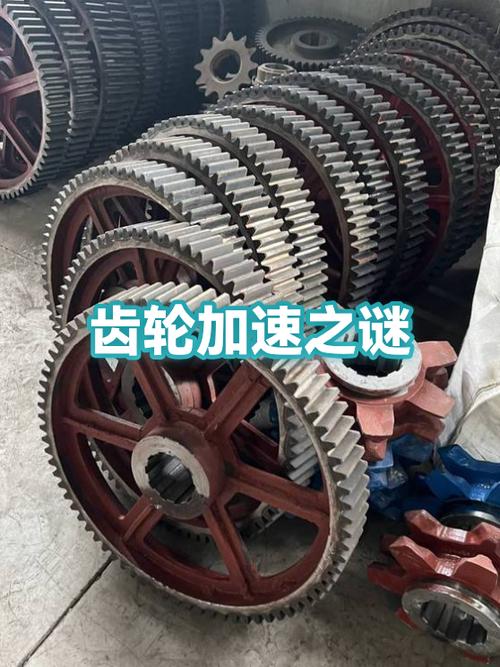 手游加速齿轮永久免费版缩略图