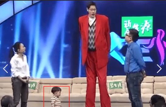 袖珍人身高标准
