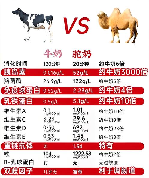 驼奶补阳还是补阴