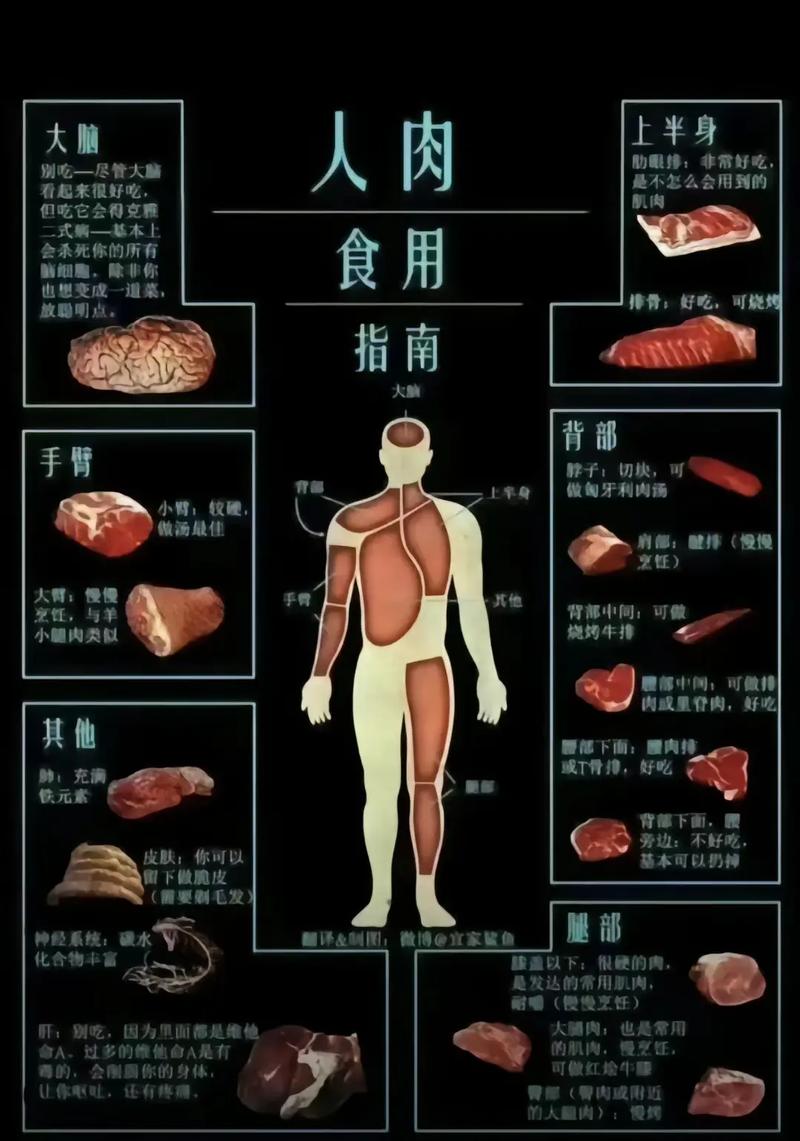 肉先生outwitt菜单和作弊菜单,还有哪些