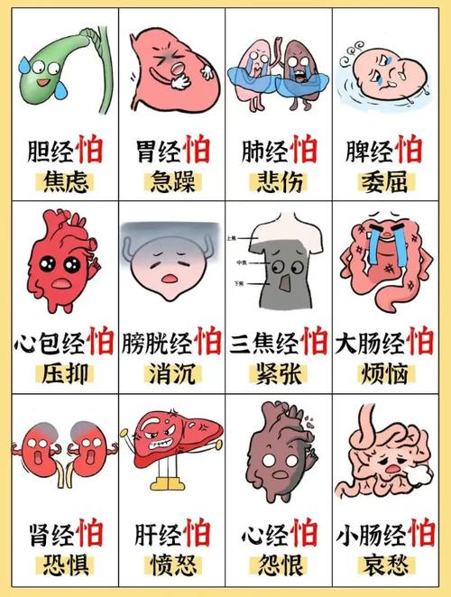 能量与人体健康