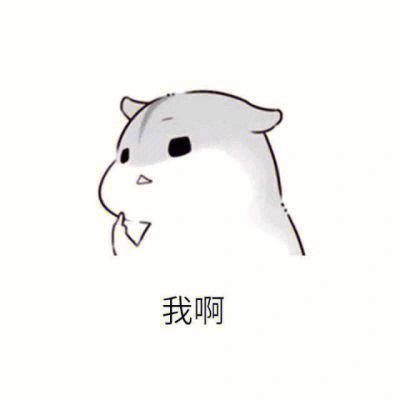 其实我真的很喜欢你仓鼠表情包