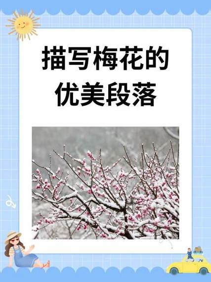 描写梅花的散文图标