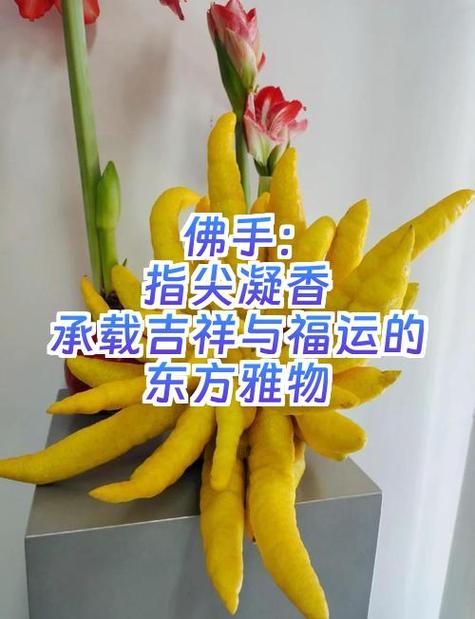 凝香的寓意和象征