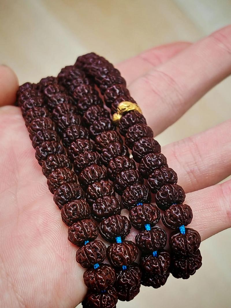 小金刚怎么选