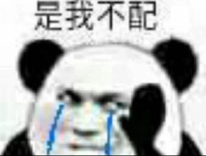 我不配表情包截图