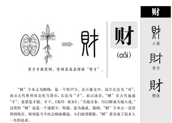 币的甲骨文