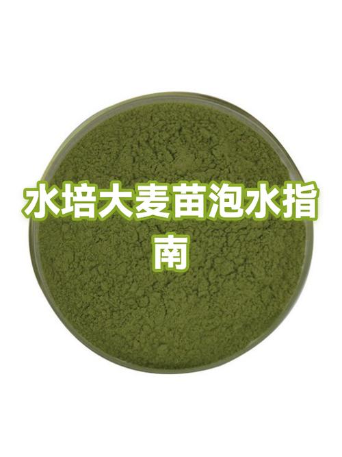 泡水是什么意思