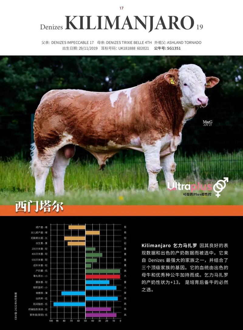 牛比特最新消息