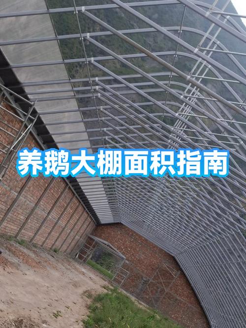 养鹅大棚搭建