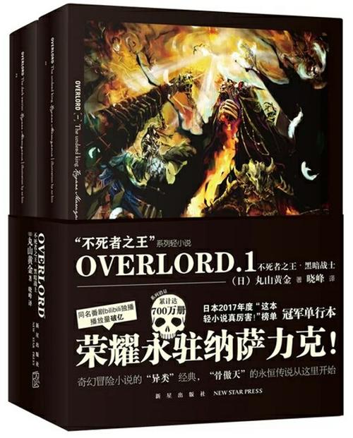 overlord正版小说游戏截图