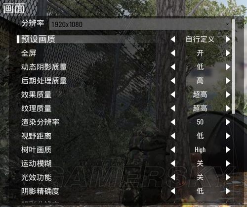 scum画面设置怎么调好