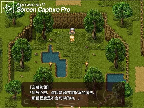 暗精灵编年史堕落攻略图标