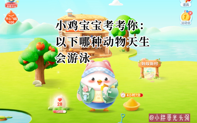 小鸡庄园今天最新的图标