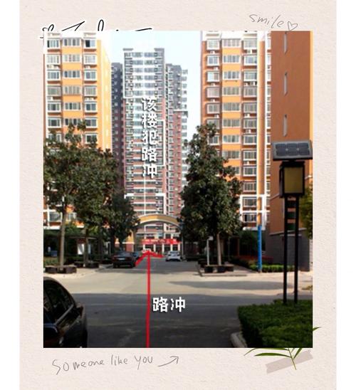 7种路煞图片截图
