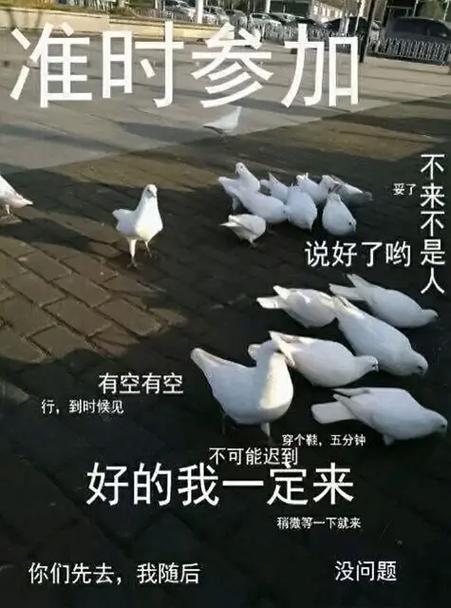 咕咕咕表情包高清