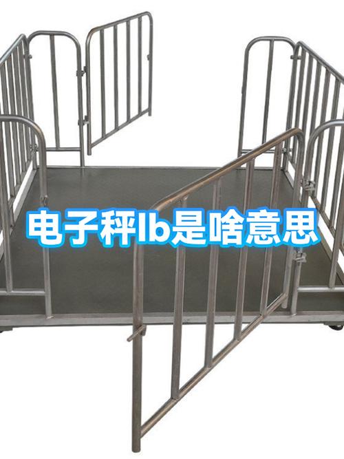 电子秤出现lb是什么意思