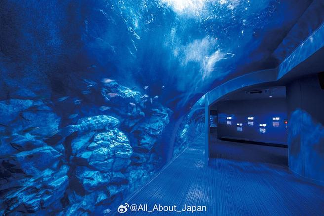 附近水族馆缩略图