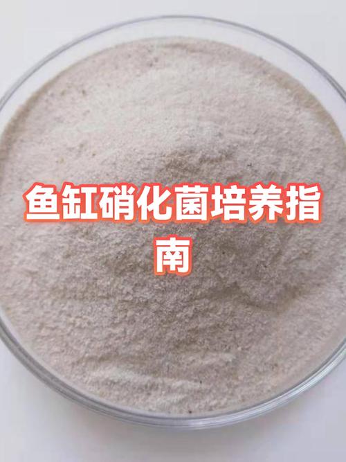 鱼缸加硝化细菌和益生菌的区别图标