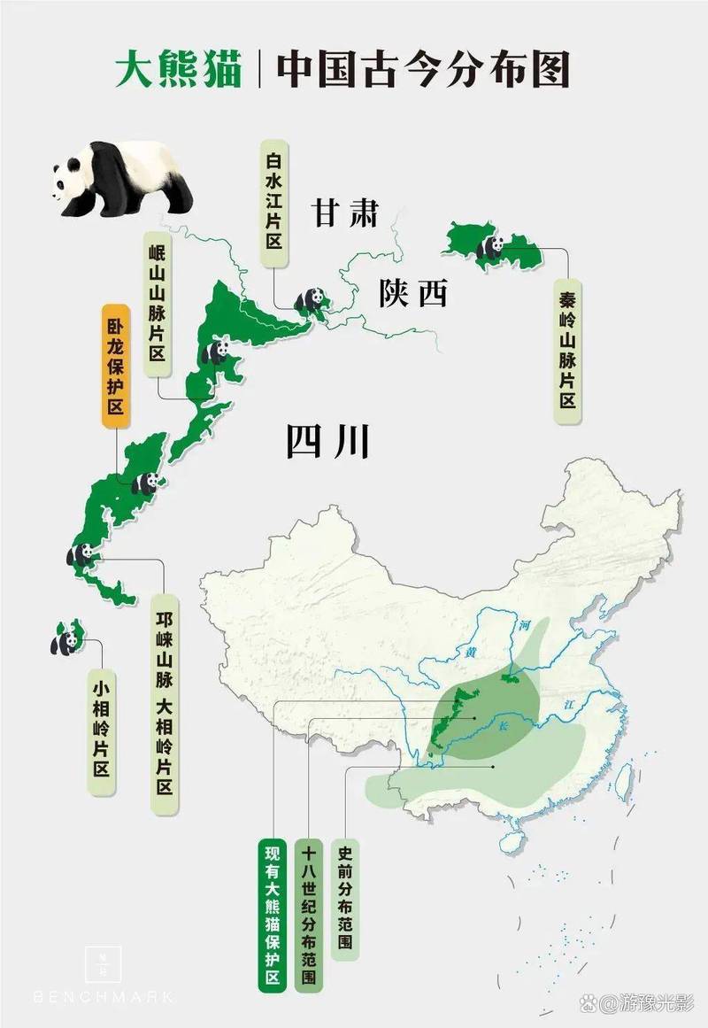 熊猫之巅经纬度