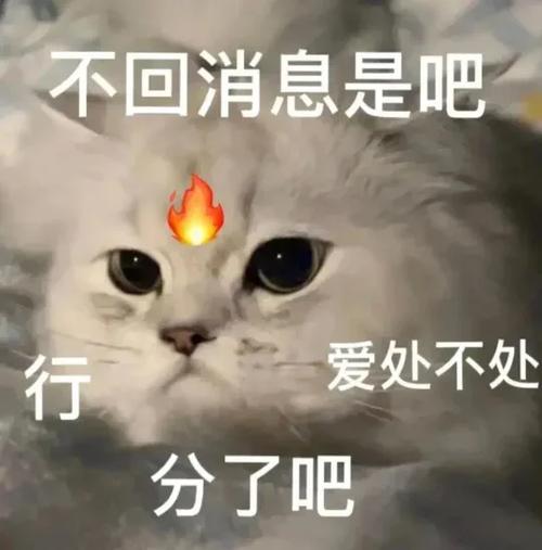 对方不回消息表情包