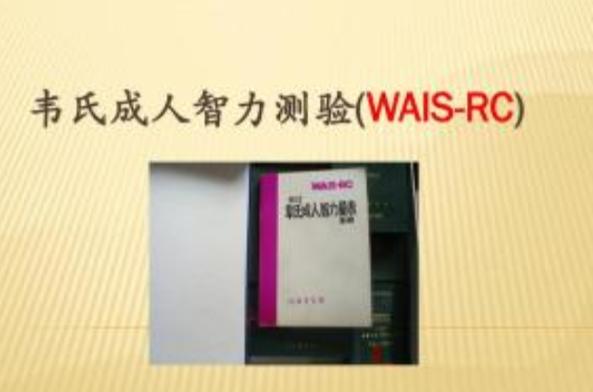 成人智力测试题100题