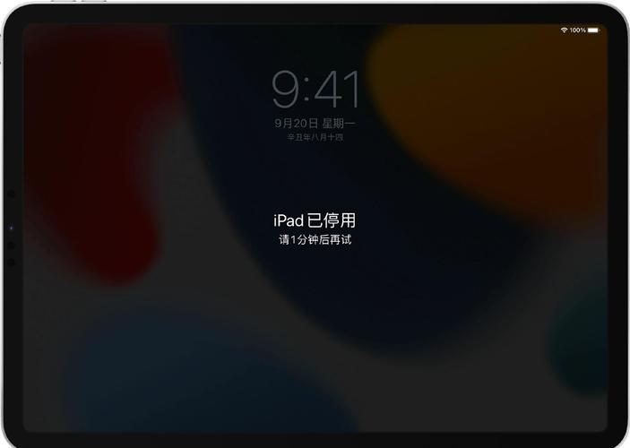 ipad一直说话无法解锁截图