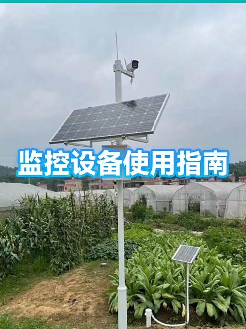 监控有哪几种类型