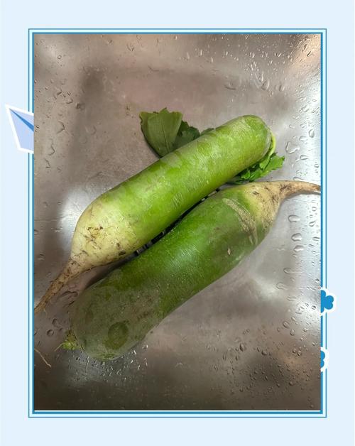 绿萝卜怎么吃才健康