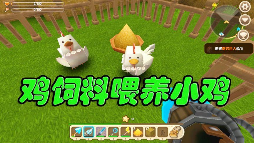迷你世界怎样才能吸引小鸡