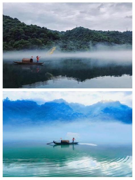 美丽的雾景