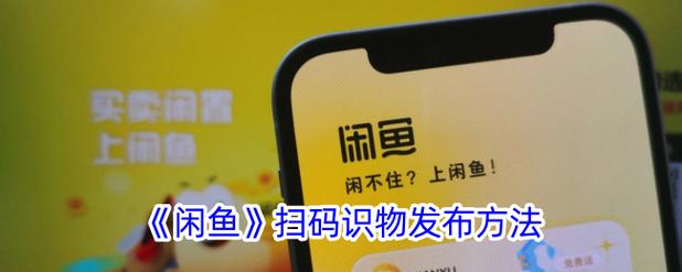 闲鱼二维码怎么扫图标