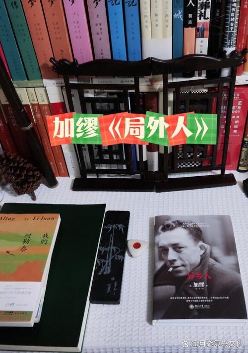加缪《局外人》解读截图