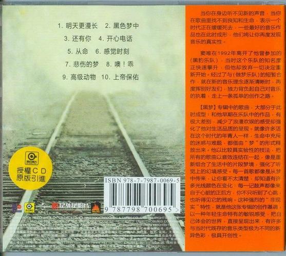 窦唯经典歌词